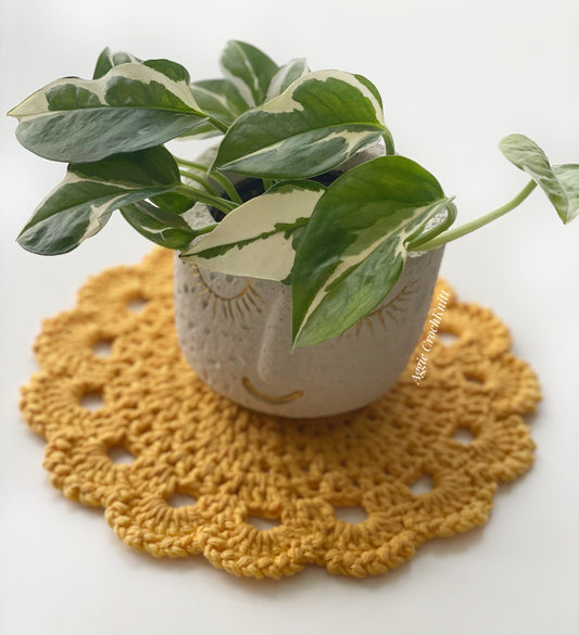 23cm Plant Coaster